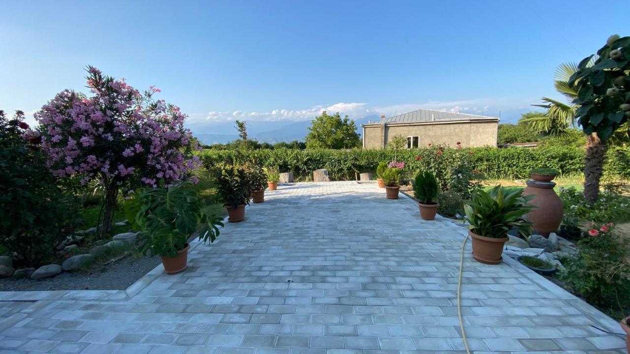 Villa Tsinandali 외부 사진